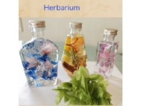 プリザーブドフラワーSORA