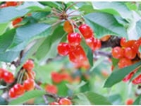 道の駅 米沢 総合案内所