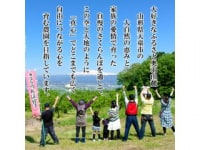 花輪さくらんぼ園