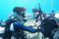 PILIALOHA  DIVING  SERVICES