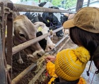 ヨーグルト工房アトレイユ