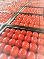 松田観光果樹園