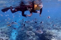 ダイブブリーズ