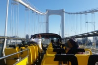 ポケットカルチャー