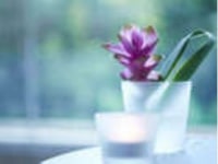 POLAエステイン・vivid