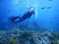 奥能登ダイビングサービス