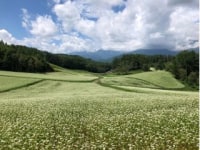 NPO地域づくり工房