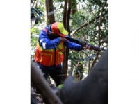 自然と共に生きる会サンガ