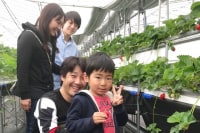 BerryParkいずみの