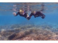 喜屋武岬ダイビングサービスかりゆし