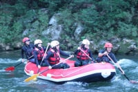 HIROSHIMAヒバゴンアクティビティ