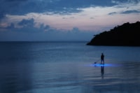 MARINX CLASSIC HABER VIEW PENSION