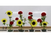 野の花のいけばな教室