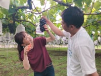 野の香ぶどう園