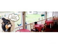 Cafe&Dog run LOVEWAN