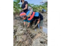 サンキューファーム