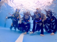 ダイブサポート シーメイド