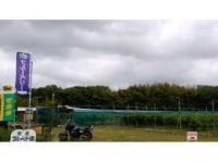 安原ブルーベリー園