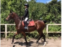 栃の葉乗馬クラブ