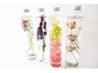 NFD公認校 花のあとりえクランツ三宮校