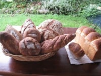 CoccoLo コッコロ