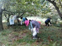 ぎふ里山景観研究所