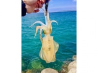 釣太郎(みなべ店)