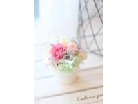 フローラル マカロン