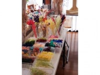 ピンクミュール