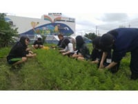 ソルファコミュニティ