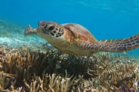 Fun & Enjoy MIYAKOJIMA