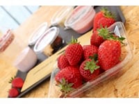 いちごぷらんと-ichigo plant-