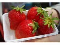 ジュリカファーム淡河農園