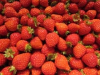 kanai strawberry garden