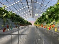 ロコファームHANYU