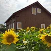 カントリーコテージ和樹あい愛