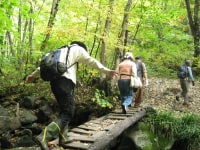 NPO法人やまぼうし自然学校