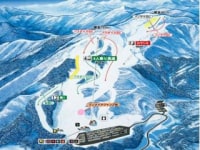 株式会社 アップオン