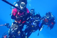 ダイビングショップ デジャヴ