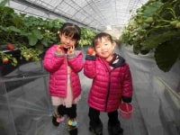 いちご家おおもり