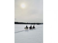 ホーストレッキング北海道