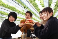 GREENARIUM awajishima