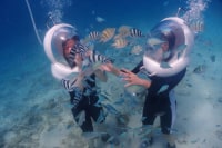 マリンクラブ ベリー(喜瀬店)