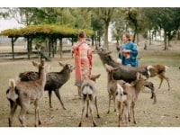 レンタル着物first(奈良店)