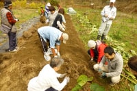 海の京都DMO 綾部地域本部