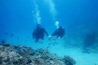 ギルドアワード