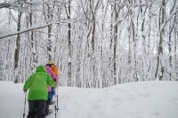 松之山温泉里山ビジターセンター