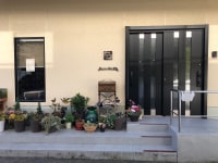 ねこカフェ猫ちゃんの家