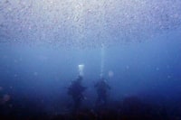 シーポイント東京