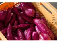 まつしげまるしぇ実行委員会